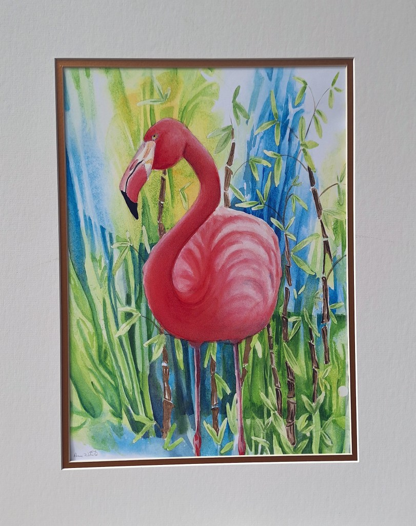 Flamingo