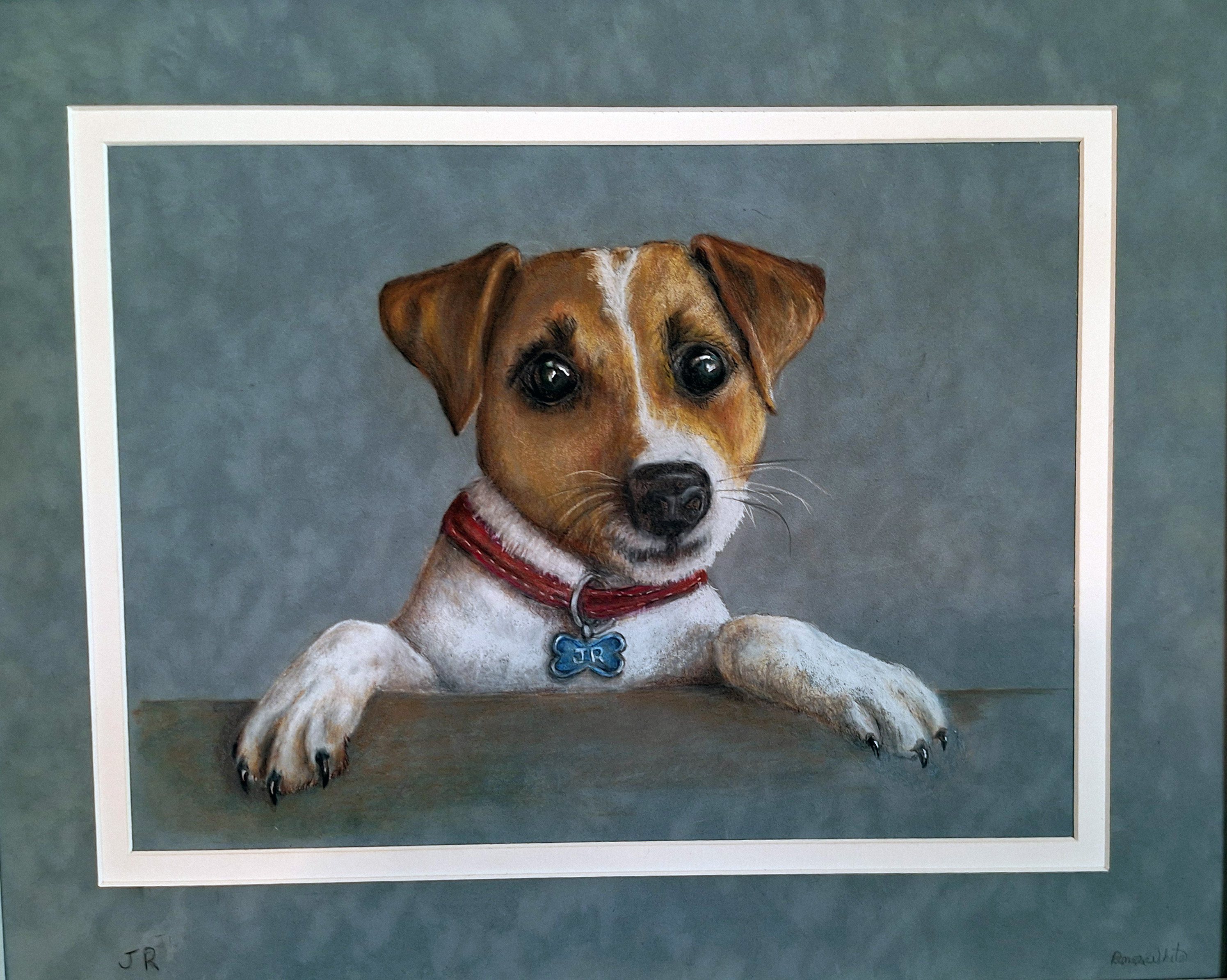 Pet portrait of JR, the artist’s beloved Jack Russell Terrier